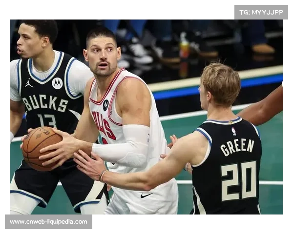 武切维奇科林斯外线投射出色，公牛团队篮球成效显著